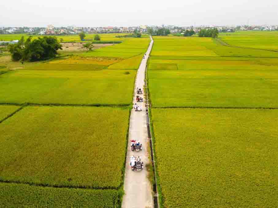 /fm/Files//Package/4 days hoi an/lang-rau-tra-que-ivivu-2.jpg